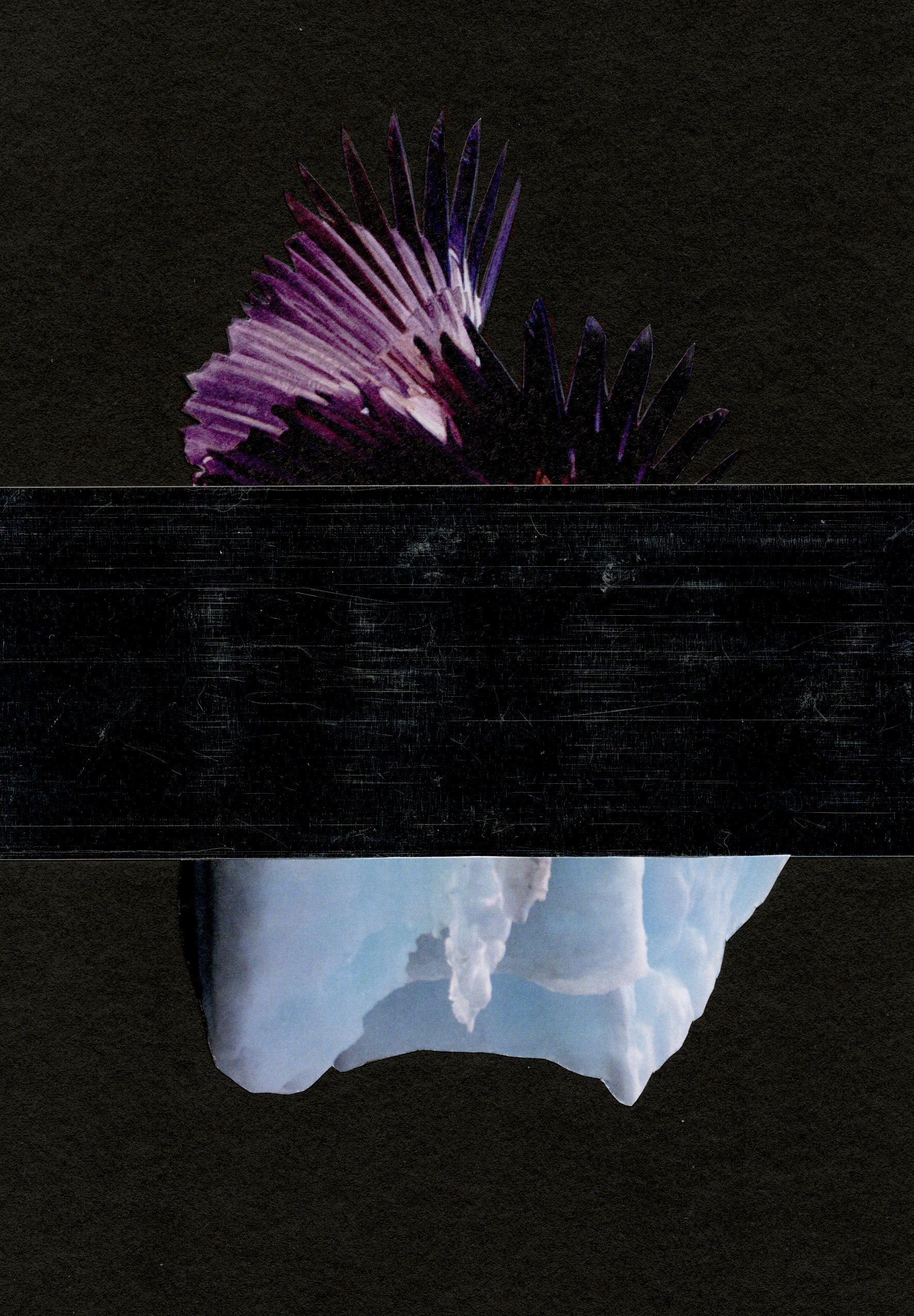 collage artwork with a black glass covering a bird wing and an iceberg