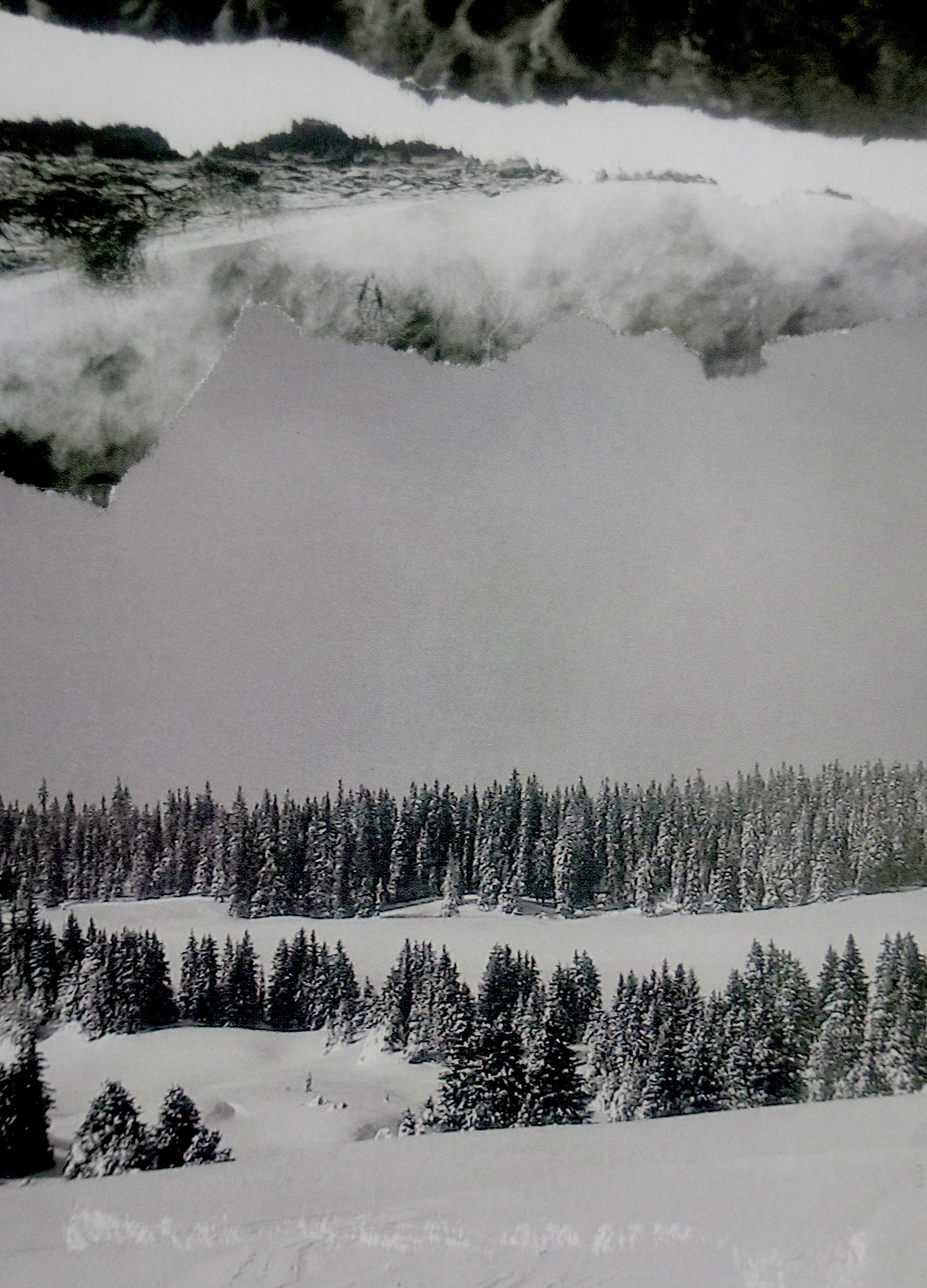 collage artwork with black and white torned-apart landscapes on top of a snowy forest